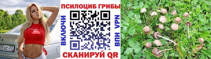 Галлюциногенные грибы Magic Shrooms  hydra зеркало  Торжок 