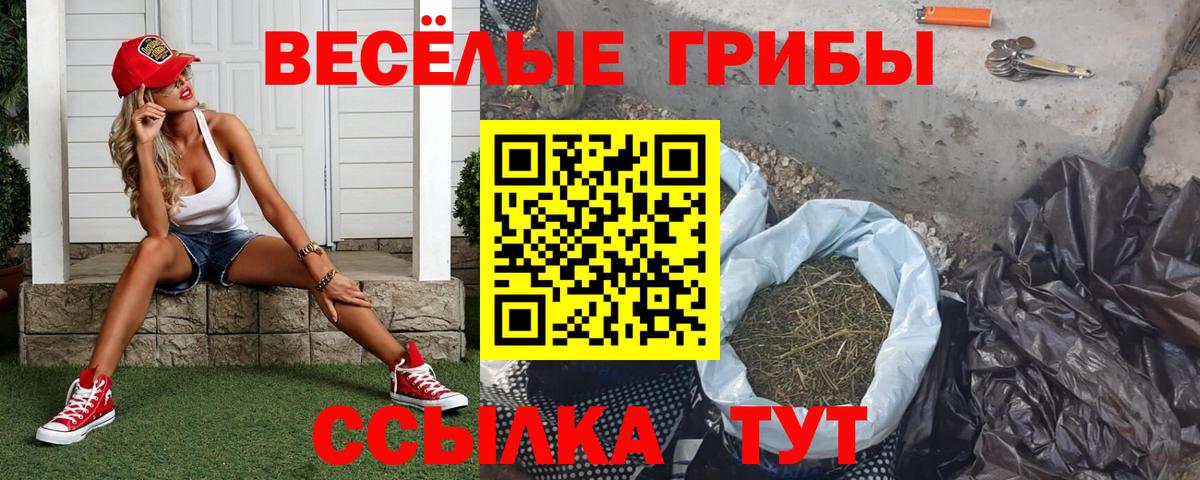 Торжок  Псилоцибиновые грибы Psilocybe  Вход с VPN 